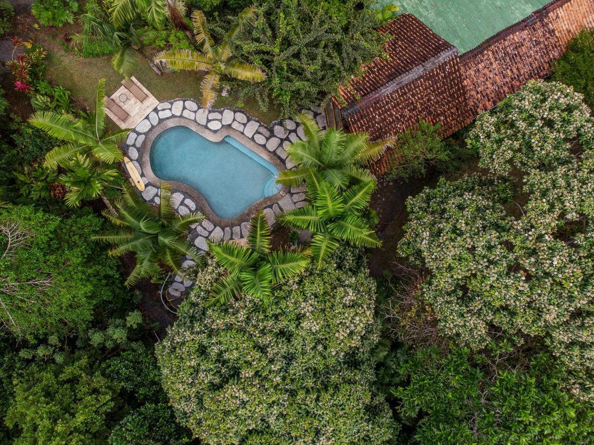 Tiskita Jungle Lodge Pavones  Extérieur photo