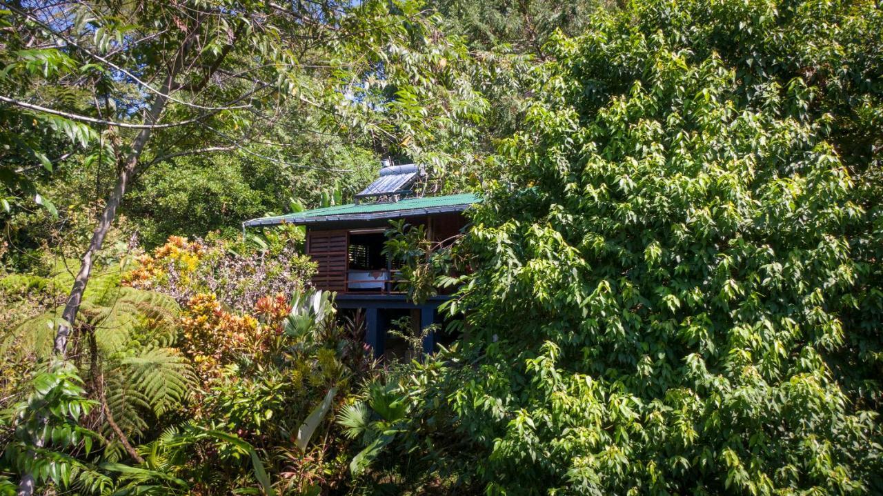 Tiskita Jungle Lodge Pavones  Extérieur photo
