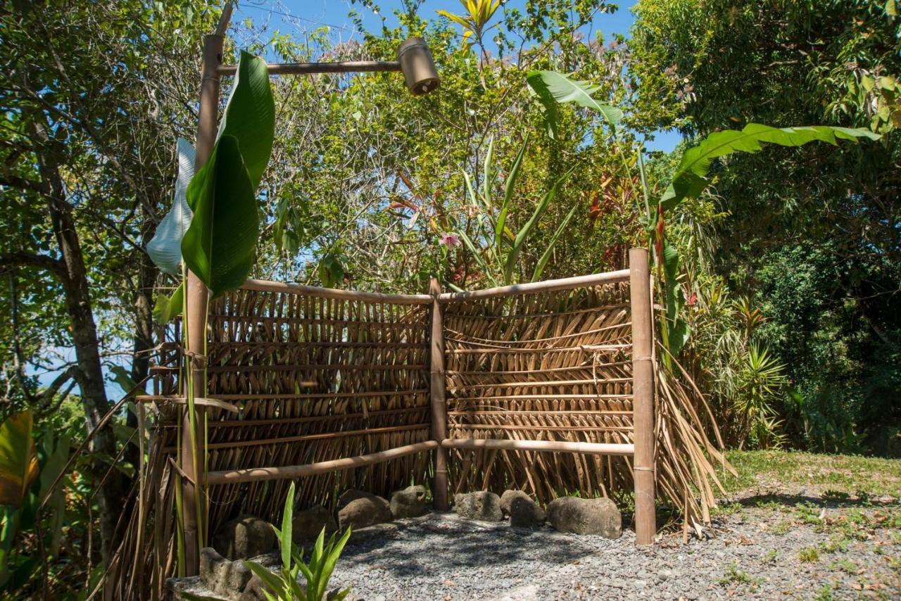 Tiskita Jungle Lodge Pavones  Extérieur photo