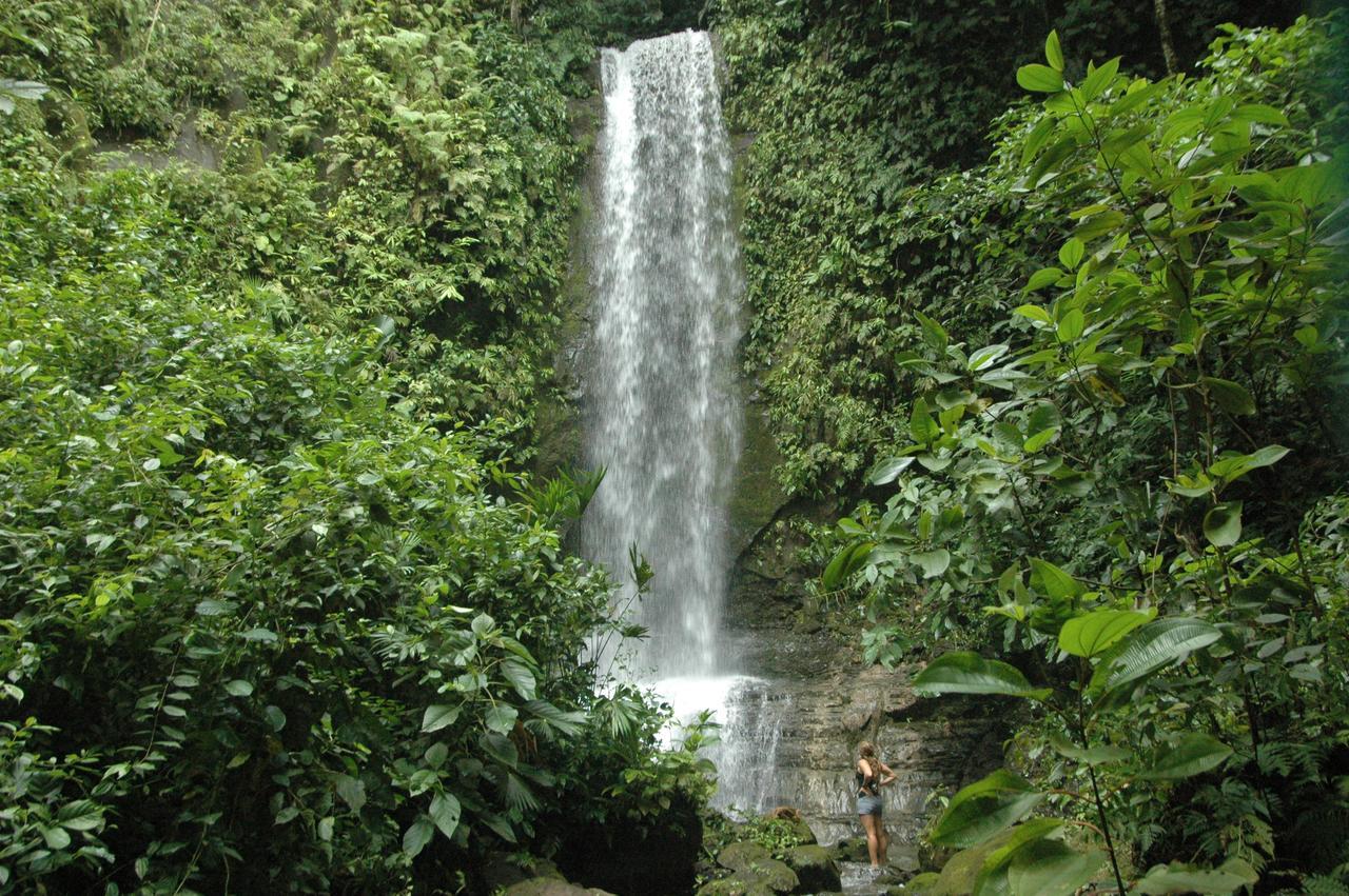 Tiskita Jungle Lodge Pavones  Extérieur photo