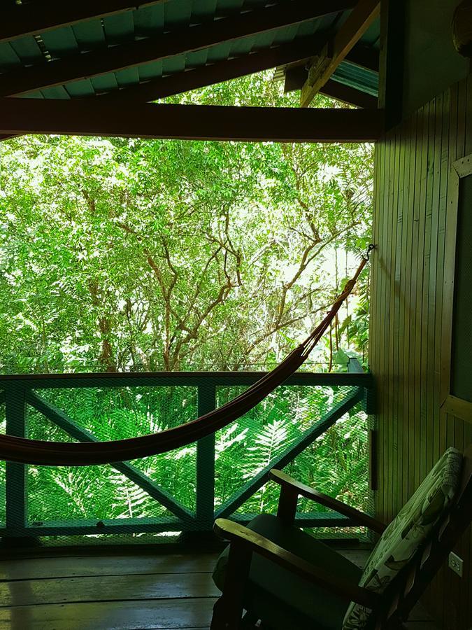 Tiskita Jungle Lodge Pavones  Extérieur photo